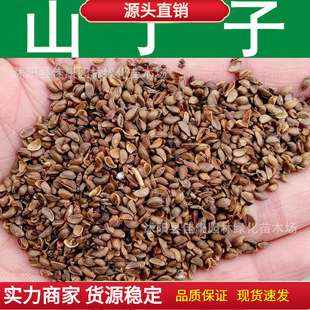 ��ľ�N�� ɽ���ӷN�� ɽ�G�� ɽ���� ���G�� 1��=1��