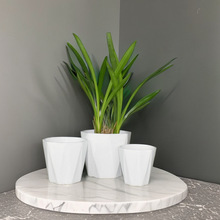 �մɻ����̖�҃��̨����Gֲ���Ԏ��бP�ش�̖���躆�s�Wʽ���l