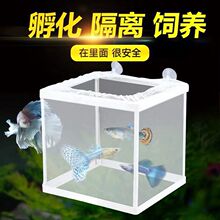 鱼缸隔离网水族箱隔离器隔离盒网鱼缸孵化器繁殖箱孵鱼槽孵化鱼网