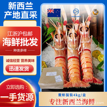 新西兰海螯虾刺身南极斯干比小龙虾混装螯虾4kg/盒
