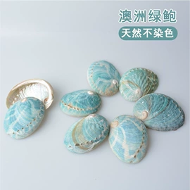 海螺/贝壳;工艺原料;水晶工艺品