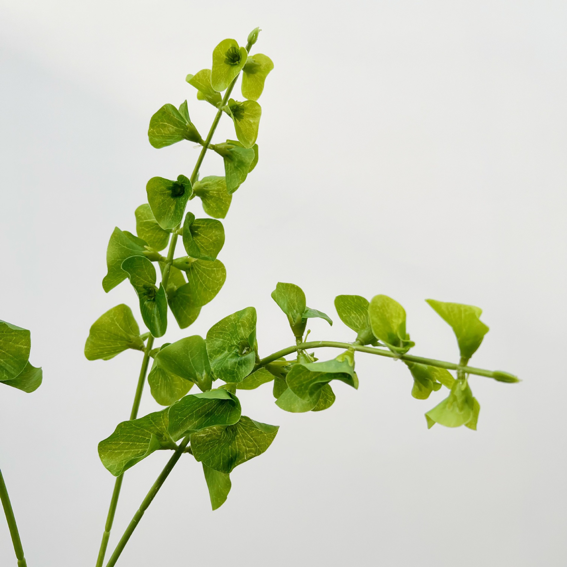 High-End Artificial Flowers with Small Branch Shells, High-Quality Shell Artificial Flowers and Leaves, Exquisite Shell Display Leaves, Model Room