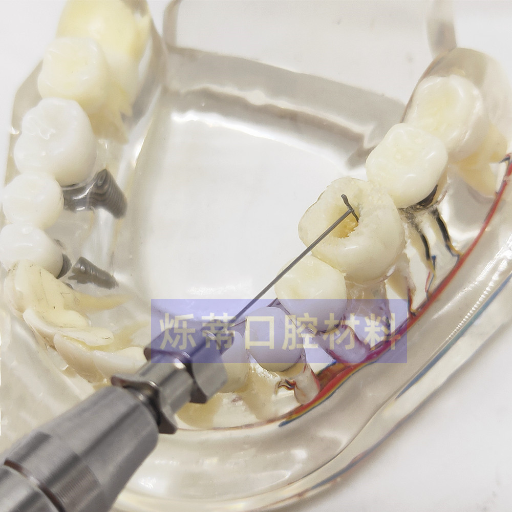 IMG20220317104933_副本_副本