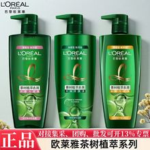 欧莱雅洗发水茶树植萃去屑精油清洁头皮舒缓滋养多功效可选择严选