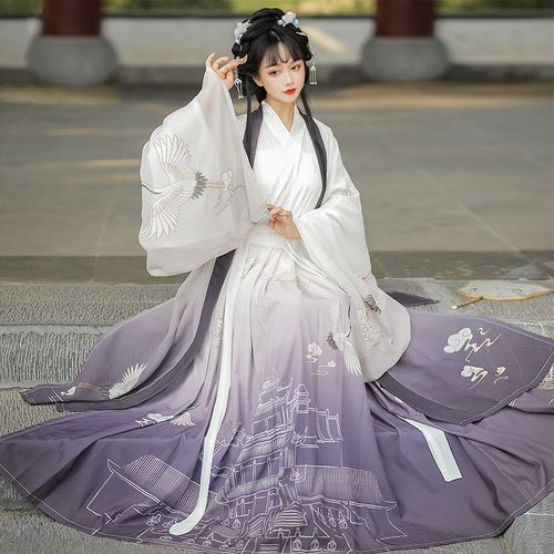 Tang Dynasty Hanfu Fairy dress for women female Chinese wind waist Ru skirt big sleeve unlined upper garment