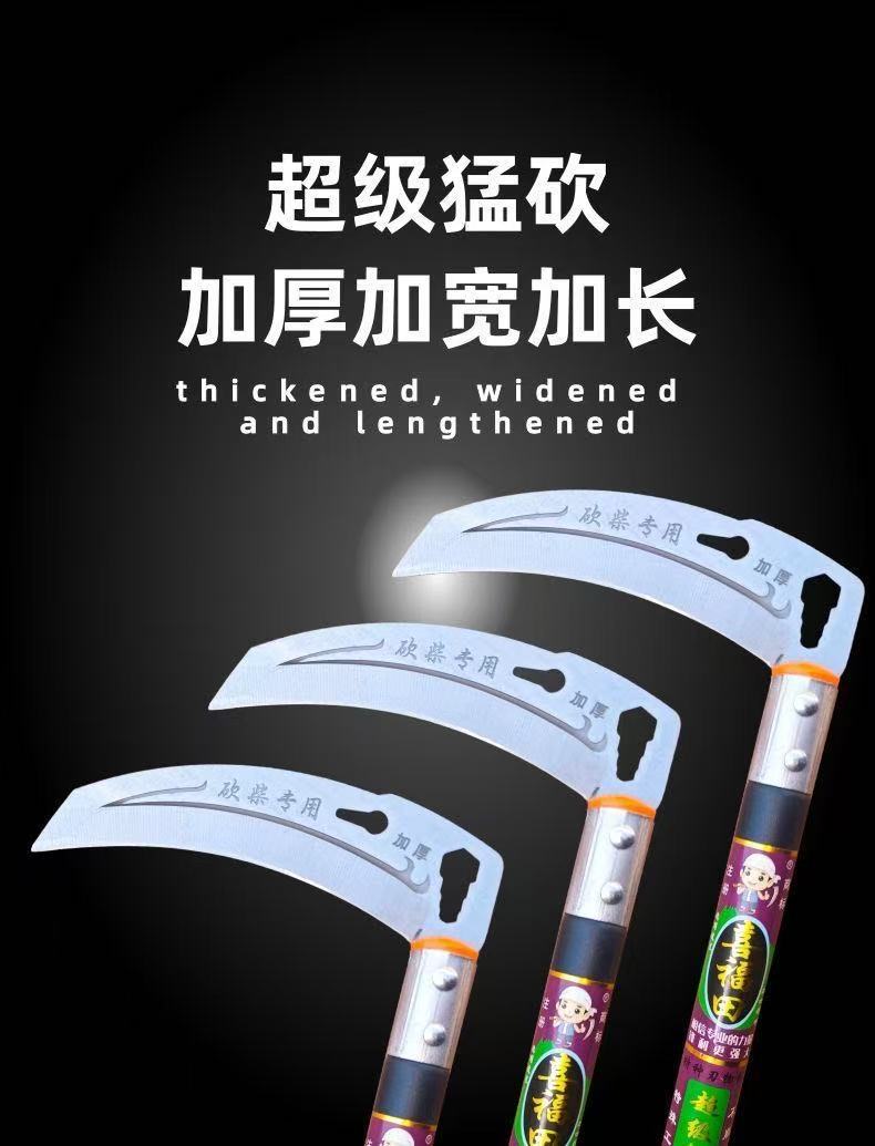 微信图片_20250526085950.jpg