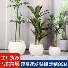 ��ʯ���ϻ����̖�����p�ݸ߼��������L�͏d�k���Ҵ�Gֲ�A������