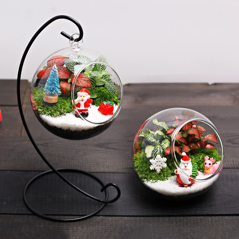 10 рождественских крытых настольных мини-маленьких горшечных зеленых растений мох экологическое стекло миниатюрный пейзаж DIY материал