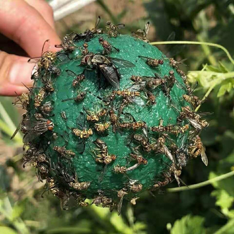 ハエの誘引ボール、ヘチマの果樹園、ハエの粘着ボール、果実のハエ針、昆虫の誘引粘着ボール、誘引剤、柑橘類のハエの捕獲器|undefined