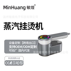 国境を越えたハイエンド手持ちのアイロン掛け機のハイパワー蒸気家庭用携帯型アイロン旅行アイロン