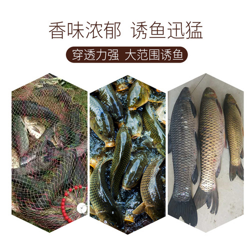 Old·Ghost crucian carp, carp, silver carp and bighead carp, giant attractant, soaked in wine, rice, medicine, additive, fishing bait 120ml/144/box