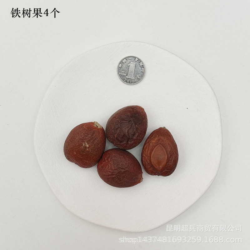 【各种果实类干花】圣诞果实类装饰品干花干果香薰蜡烛DIY橡果精|undefined