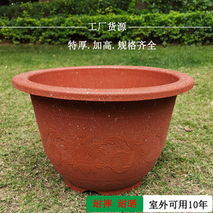 ���ϻ����ش�̖�A�μӺ��̨����Nֲ��ͥԺ�N�����׷N�˹�����