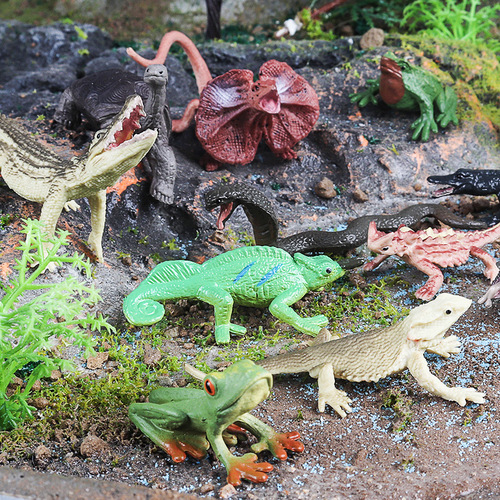 Cross-border simulation cognitive mini reptile amphibian Darwin tree frog anaconda lizard elephant turtle teaching aids ornaments