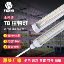 ȫ���VT8һ�w����ˮֲ����҃ȌӼܴ�����߲�����led���L�a���