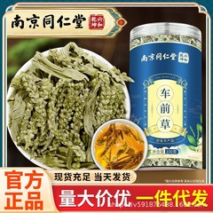 南京銅仁堂オオバコ代替茶水浸漬オオバコ乾物茶飲料卸売 100 グラム/缶