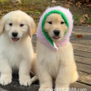 ���Nِ����ë��Ȯ���B�����ë���ثCȮ���w��������