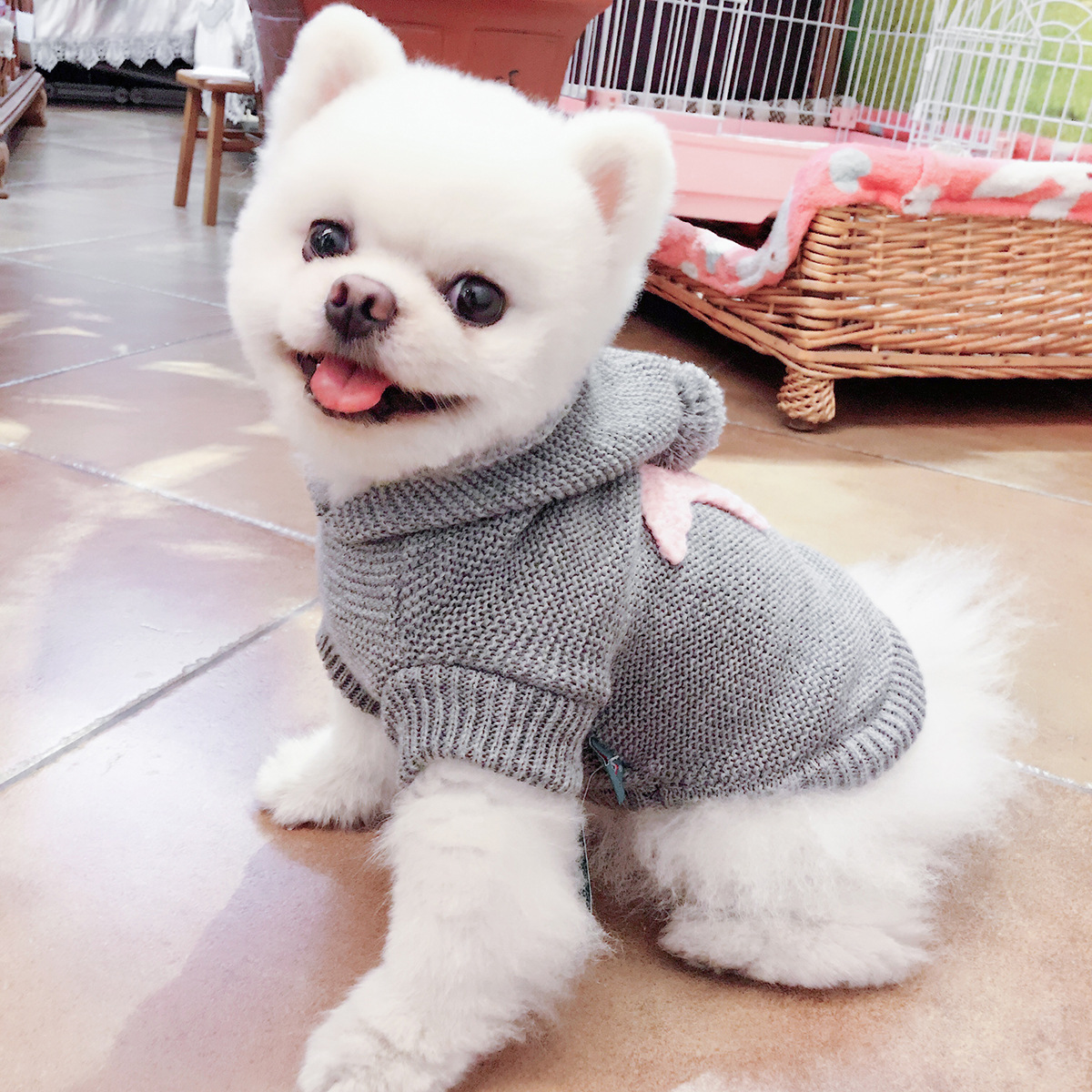 PETCIRCLE 애완동물 의류 강아지 고양이 옷 가을 겨울 스웨터 부드럽고 편안한 불가사리