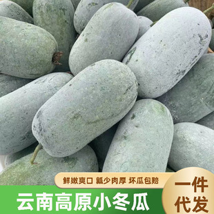 ��ϸ�ԭ����С�������r�Gɫ�߲��󜫬Fժ��偸���ز���ʳ����
