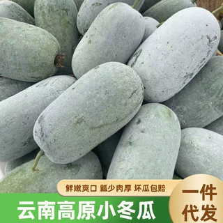 云南高原迷你小冬瓜新鲜绿色蔬菜煮汤现摘火锅干锅素菜美食冬瓜