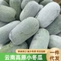 高原云南新鲜迷你蔬菜