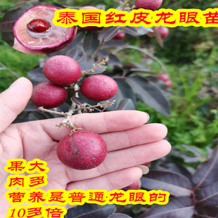 �ļ������� �޽ӟo�˹��A����ʯ�����۹����箔��Y�������ۘ���