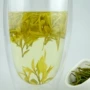 安吉量大黄金黄金叶黄金茶