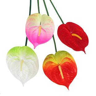 ���|��֧����t�� ���Q���Ҿ��b�c�b�֦���ٻ��S�����l