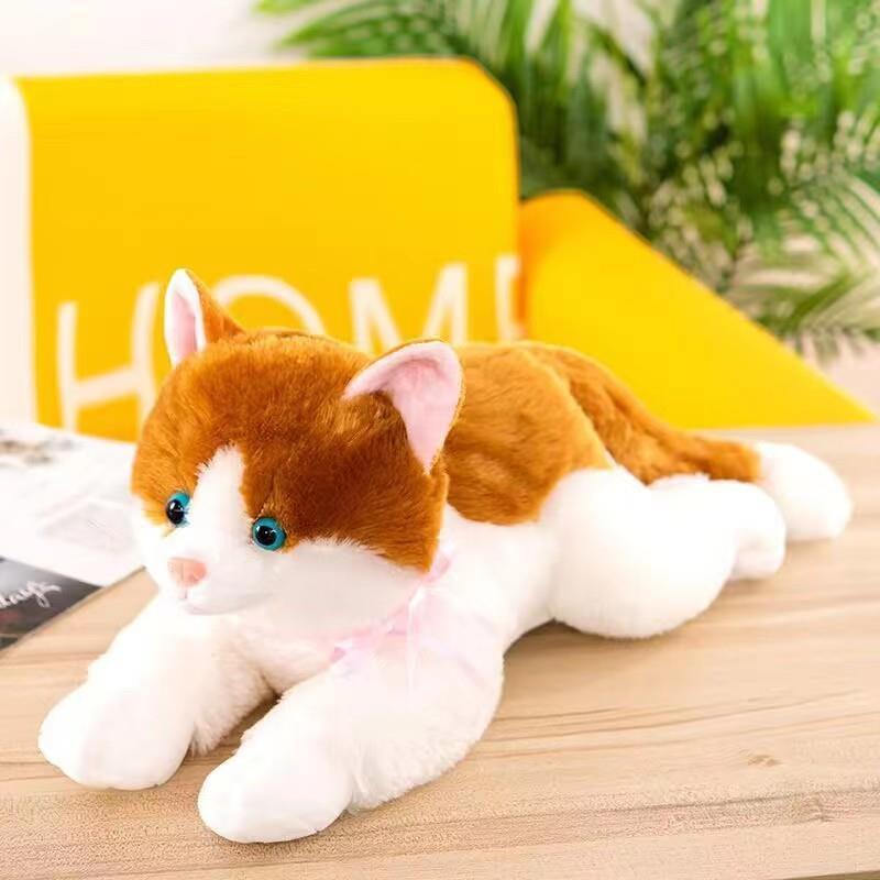 猫の発情玩具公猫専用の下痢|undefined