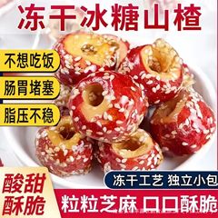 批发代发冻干山楂冰糖葫芦整颗空心无核独立包装休闲零食小吃