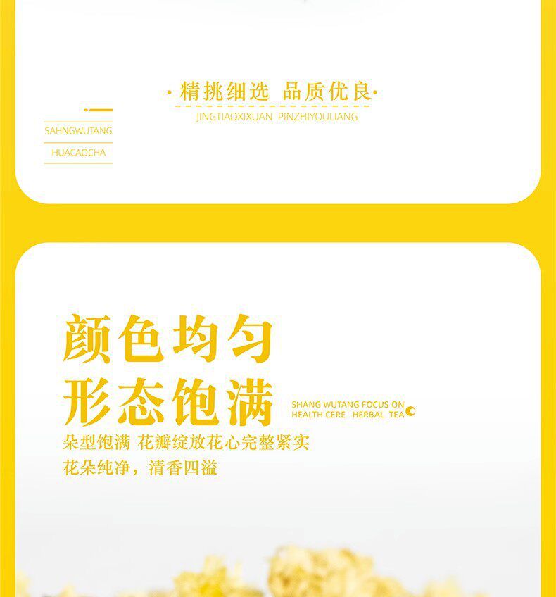 Hang Bai Ju Chrysanthemum Tea 500g Premium Tongxiang White Chrysanthemum Buds for Daily Brewing specifications
