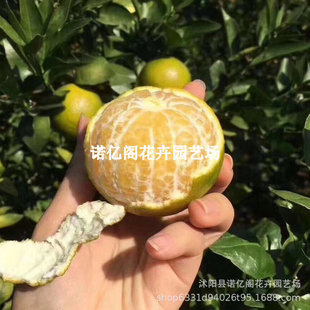 �ʵ۸��� ���ڵc�ʵ۸̘���ؕ�������������Ә���ɰ���٘���