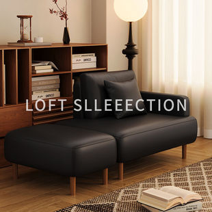 Narrow Sofa Small Apartment Small Sofa Double Black Sleepable and Reclining Lazy Person Does Not Take up Space Apartment Chaise Longue Wood