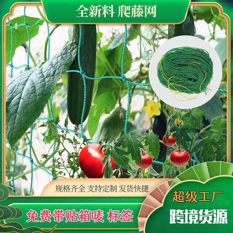 植物园艺爬藤网葡萄黄瓜爬藤搭架网加强版尼龙网牵牛花攀爬家用