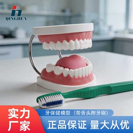 数理教学器材;教学演示用品;生物教学器材