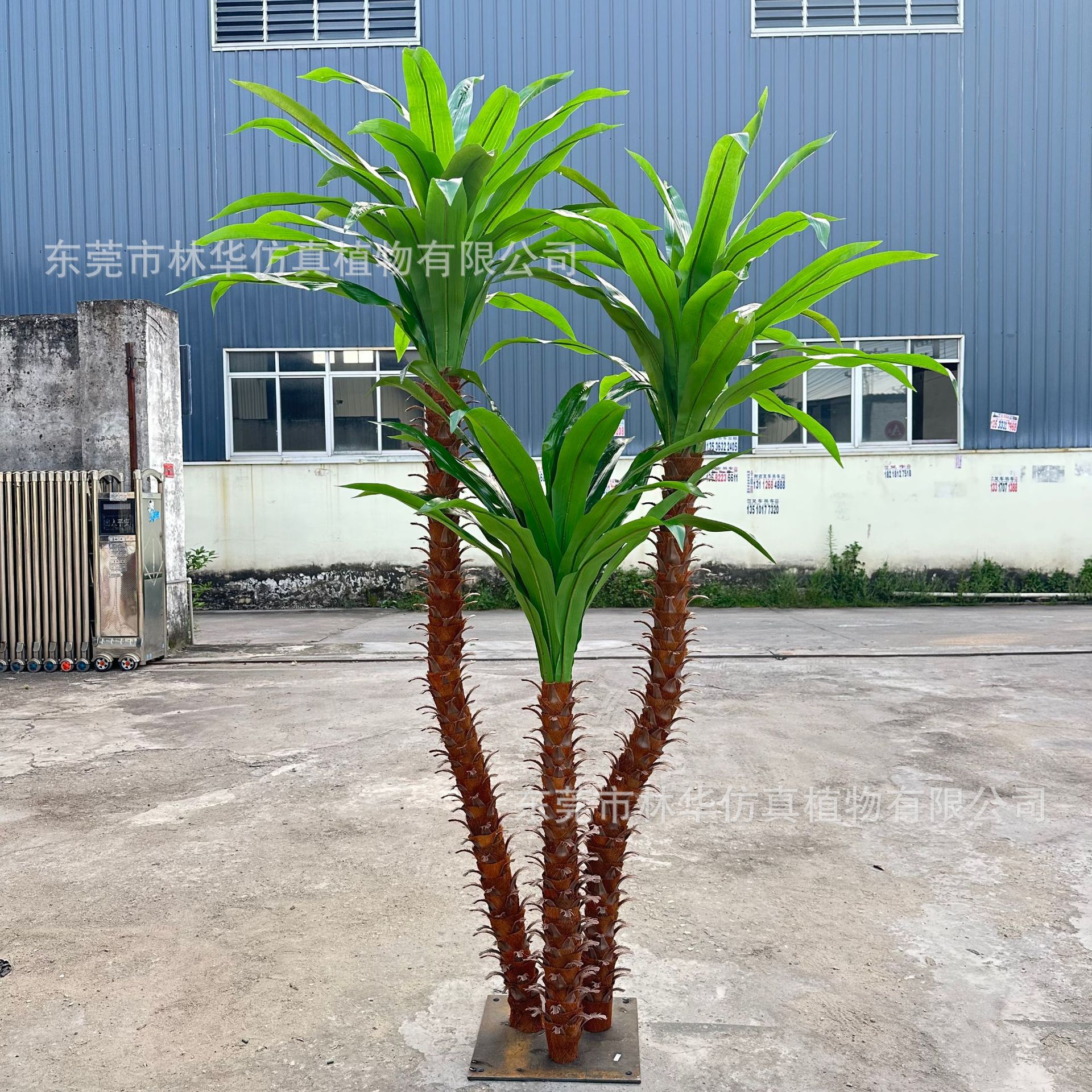 仿真巴西铁 新款绿植装饰仿真树园林家居橱窗摆件仿真巴西木盆景