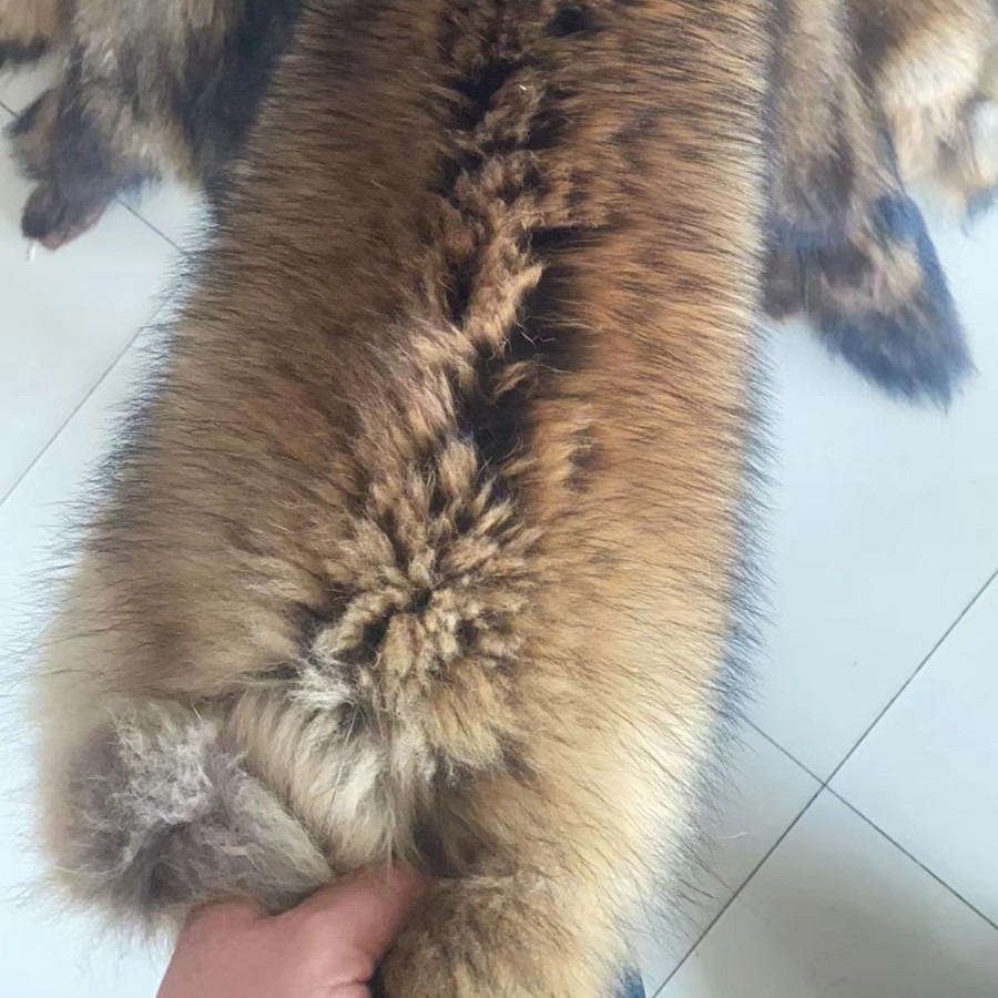 厂家批发彩色貉子皮张貉子整皮本色染色批发颜色貉子皮草高端服装