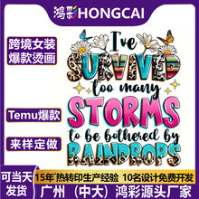 跨境爆款服装复古字母印花装饰转印贴纸辅料批发热转移白墨烫画贴