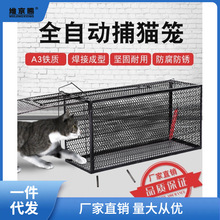 全自动捕猫笼人道救助捉猫笼超市抓猫笼新款抓猫器逮猫神器捕捷限