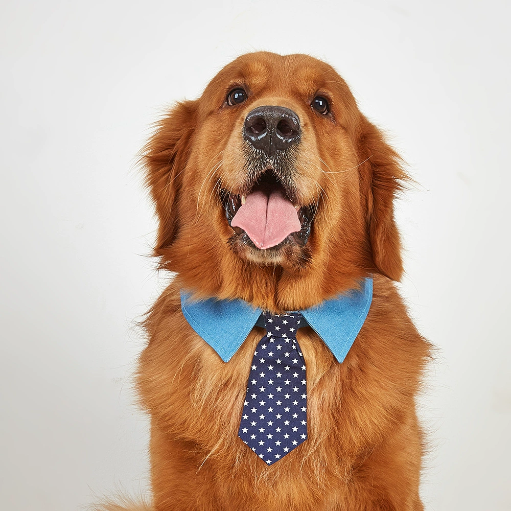 Трансграничная в наличии Новый ПЭТ хлопок джинсовый галстук пятиконечная звезда узор любимчика одежда случайный галстук собаки