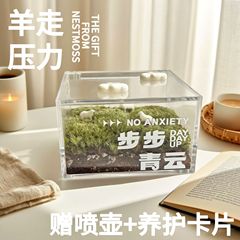 步步青云苔藓微景观一片草坪迷你绿植生态瓶解压ins治愈桌面摆件