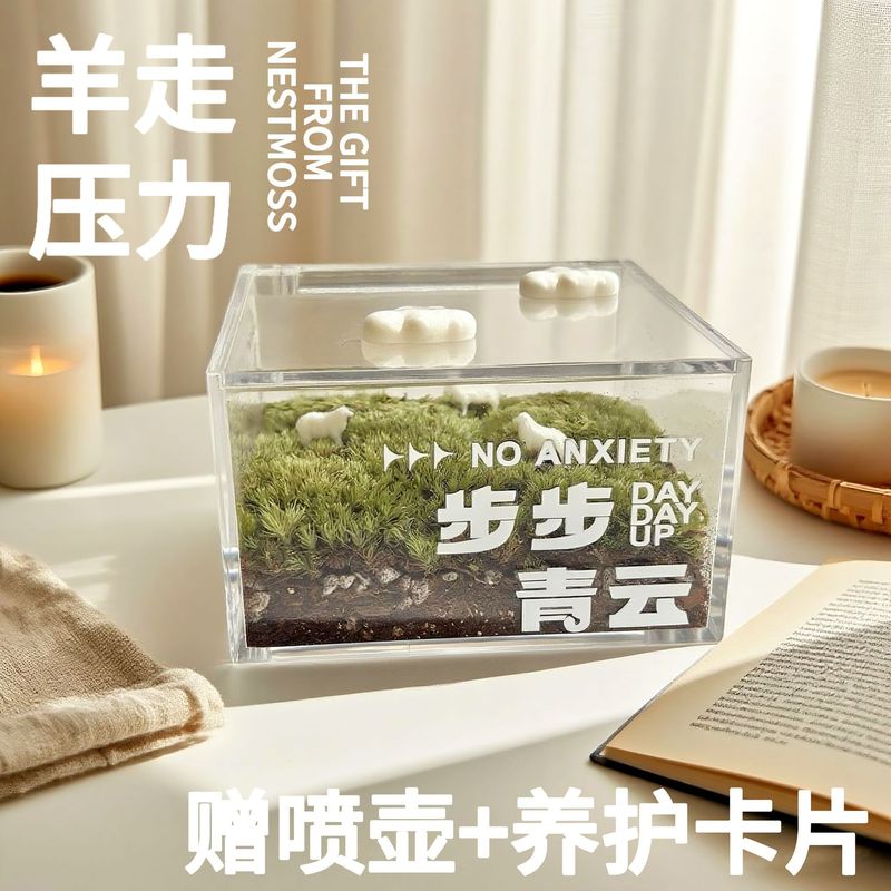 步步青云苔藓微景观一片草坪迷你绿植生态瓶解压ins治愈桌面摆件|undefined