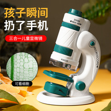 Ů߃ͯǵ6նY7к10Ůͯ8ͯ12qСW5