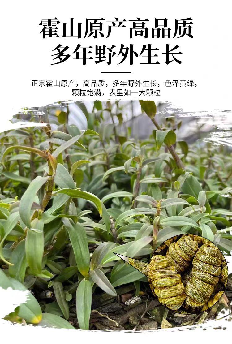 Tie Pi Shi Hu Powder (Dendrobium officinale) — Anhui Iron-Skin Dendrobium, 500g overview