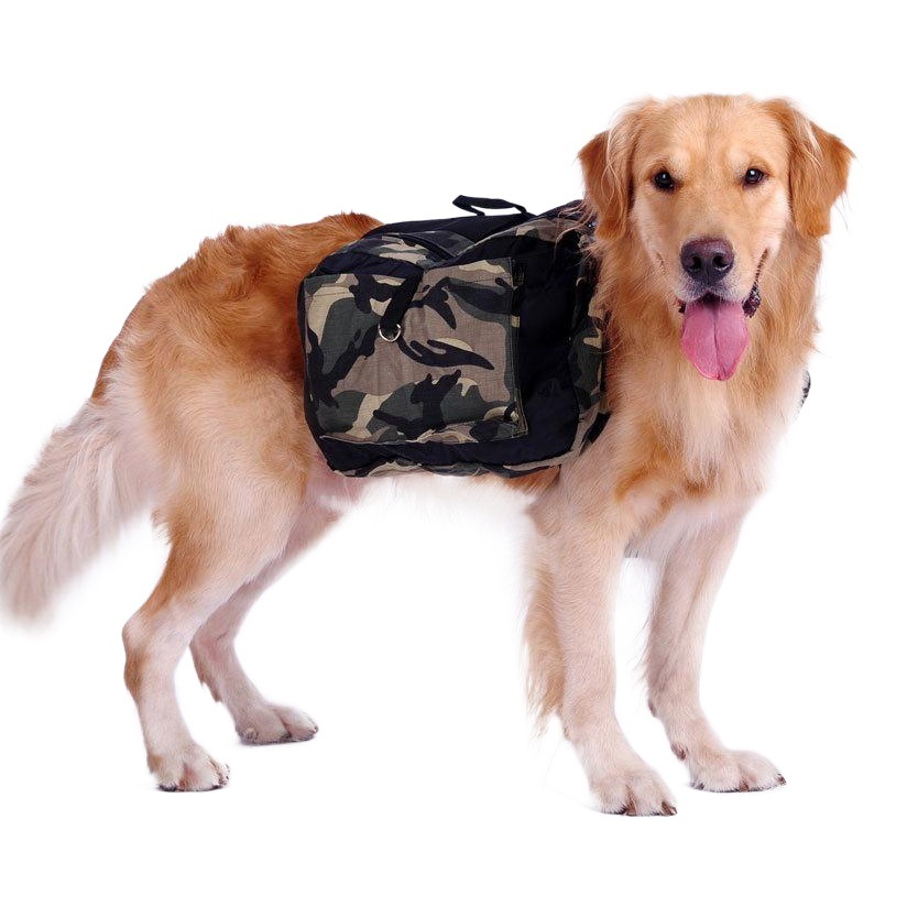 Gran espacio para mascotas perro auto-mochila bolsa de transporte tazón mediano y grande de agua perro golden retriever deportes al aire libre fitness compras