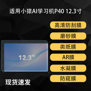 �m��СԳAI�W���CP40��Ļ�NĤ����AR�Ĥ����ܛĤĥɰ12.3Ӣ��