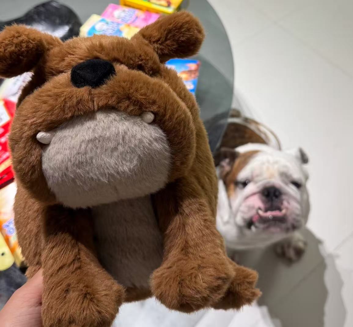 コレクション1;