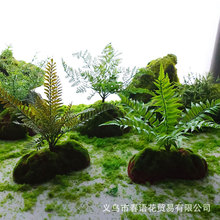 ����̦�\�Kֲ�qëʯ�^��̦�[���A��΢���^�����쾰�bGֲ��Ƥ