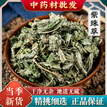 ����� �� ����� ֹѪ�� �����~ �����G �����~ 500�� ���]