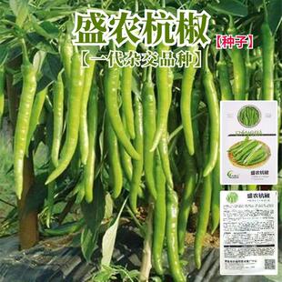 Shengnong Hangzhou Pepper Seeds, High-Yielding Pepper Seeds, Early-Maturing Pepper Seeds, Spring Vegetable Seeds, Pepper Seeds